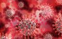 COVID-19 chorobą sezonową? W wirusie SARS-CoV-2 wykryto obszar reagujący na warunki zewnętrzne