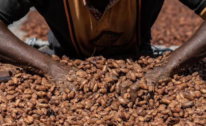 Cena kakao leci na łeb, na szyję