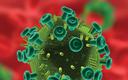 10 mln euro na monitoring HIV