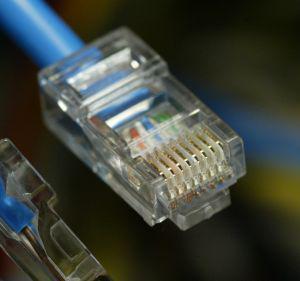 fot. Grzegorz Kawecki