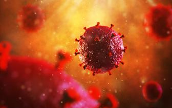 Szczepionka przeciw HIV: obiecujące wyniki I fazy badań klinicznych