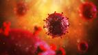 Szczepionka przeciw HIV: obiecujące wyniki I fazy badań klinicznych