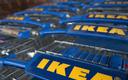 Zysk netto właściciela sklepów IKEA spadł o 82 proc.