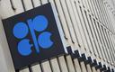 OPEC obniżył prognozę popytu na ropę w następnym kwartale