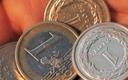 „Euro do czerwca po 4,25 zł”