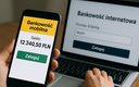 Raport: Bankowość mobilna i internetowa. Wskaźniki logowań klientów - II kwartał 2025