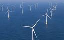 PGE Baltica: rozpoczynają się badania środowiskowe dla morskiej farmy wiatrowej Baltica 1