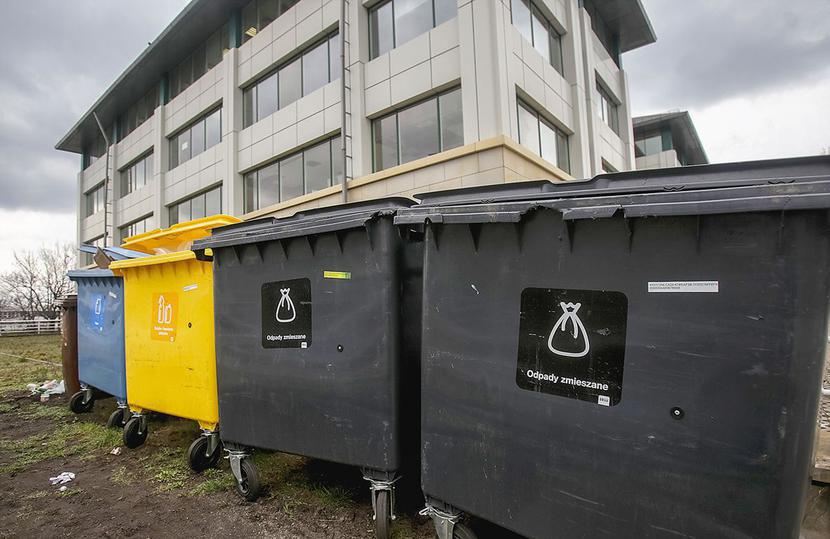 fot. Marek Wiśniewski fot. Marek Wiśniewski