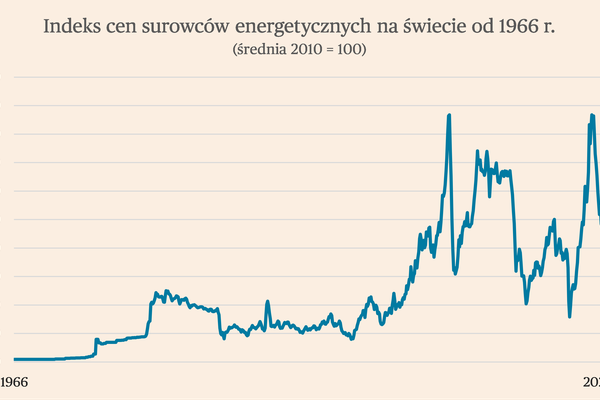 Jak przedsiębiorstwa dostosowują się do zmian cen energii