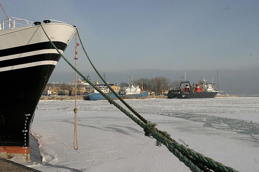 Port Gdynia (FOT. ARC)