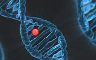 SMA: nowe wyniki badania potwierdzają wysoką skuteczność terapii genowej