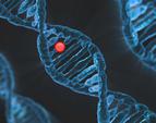 SMA: nowe wyniki badania potwierdzają wysoką skuteczność terapii genowej