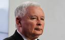 Kaczyński: przepisy dot. wycinki drzew na prywatnych posesjach będą zmienione