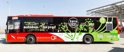 LIDER I PRETENDENT: Produkowane w Wielkopolsce elektryczne solarisy to  najczęściej kupowane polskie autobusy elektryczne, ale ursusy z Lublina  mają już pewność, że zaistnieją na rynku.