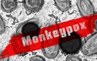 Małpia ospa ma się nazywać mpox. WHO: obecna nazwa jest rasistowska