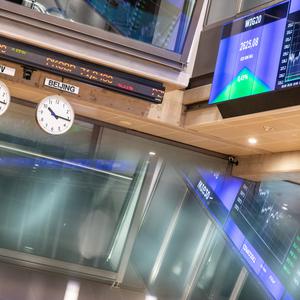 12 interesujących spółek z NewConnect