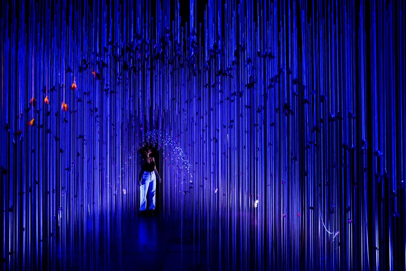 Bangkok, Tajlandia, 30 listopada 2021 r. Największy targ kwiatowy w mieście, Pak Khlong Talad, wita kupujących instalacją kwiatową „Form of Feeling @ Flower Market” . Tajlandia zakazała wjazdu z ośmiu krajów afrykańskich z powodu wariantu koronawirusa Omicron.
