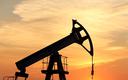Arabia Saudyjska chce do 2030 r. całkowicie uniezależnić się od ropy