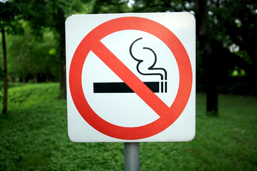 Zakaz palenia ma zostać rozszerzony na parki, jeśli obecne w nich będą kobiety w ciąży i dzieci.