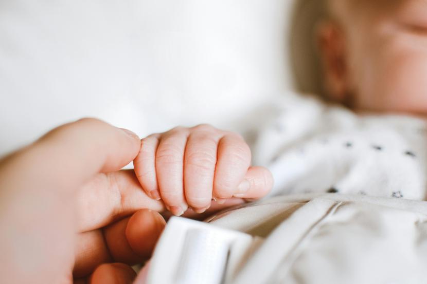 Program refundacji in vitro potrwa do 31 grudnia 2028 r., łącznie kosztować będzie 2,5 mld zł. Program refundacji in vitro potrwa do 31 grudnia 2028 r., łącznie kosztować będzie 2,5 mld zł.
