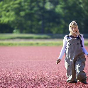 Bakalie i nie tylko znane na całym świecie