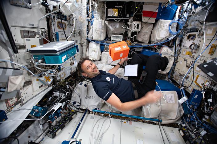 Los pisany w gwiazdach: