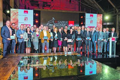 Śląsk, Dolny Śląsk i Śląsk Opolski to matecznik sześćdziesięciu ośmiu E-Gazel Biznesu. Choć reprezentują one różne gałęzie e-handlu, mają jedną cechę wspólną — dbałość o jakość oferowanych produktów i obsługi klienta.