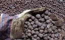 Australia: Ruda żelaza wejdzie w wieloletnią hossę