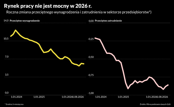 Państwo podtrzymuje rynek pracy w Polsce. Biznes jest wstrzemięźliwy