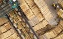 Ceny drewna zwiastują surowcową hossę