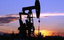 Wzrost zapasów ropy naftowej w USA lekko obniżył ceny