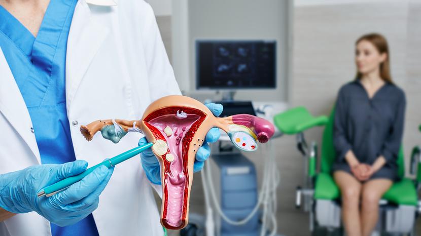 U kobiet z mięśniakami macicy po menopauzie lub młodszych, które nie planują ciąży, wykonuje się najczęściej usunięcie macicy (histerektomię). U kobiet z mięśniakami macicy po menopauzie lub młodszych, które nie planują ciąży, wykonuje się najczęściej usunięcie macicy (histerektomię).