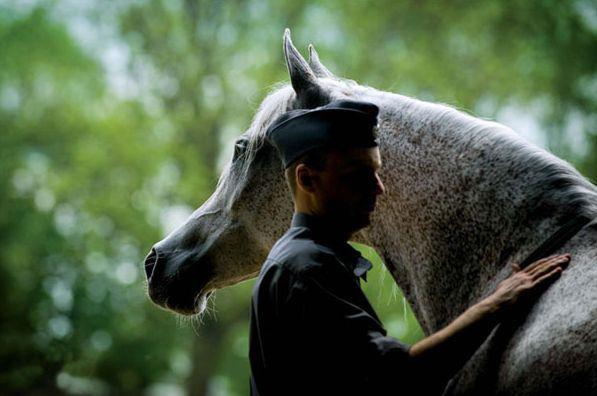 Zdjęcie z katalogu aukcji w Janowie Podlaskim