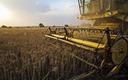 Zbiory zbóż w Polsce zbliżone do rekordowych