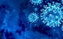 Zidentyfikowano nowy, potencjalnie niebezpieczny wariant koronawirusa