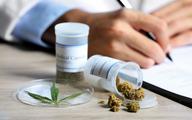 RPO: pacjenci leczący się medyczną marihuaną nie mogą być traktowani jak podejrzani