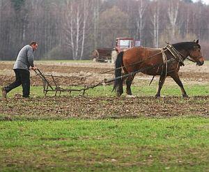 fot. Marek Wiśniewski (Puls Biznesu)