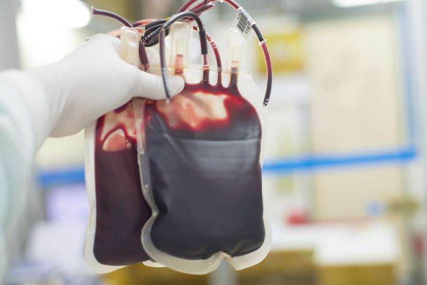 Projekt znowelizowanej ustawy o służbie krwi wkrótce ma trafić do konsultacji społecznych.