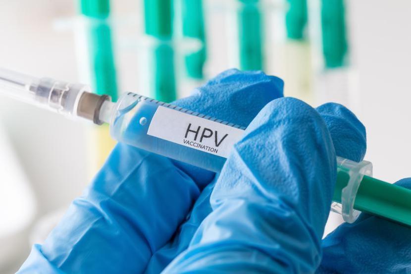W badaniu wzięło udział 205 dorosłych mężczyzn, którzy odwiedzili klinikę urologii i andrologii w celu przeprowadzenia wstępnej oceny płodności lub problemów z układem moczowym. 