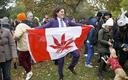 Legalizacja marihuany w Kanadzie obniżyła ceny