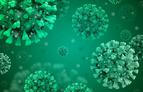 Infekcja koronawirusem zakłóca zdrową równowagę drobnoustrojów w jelitach