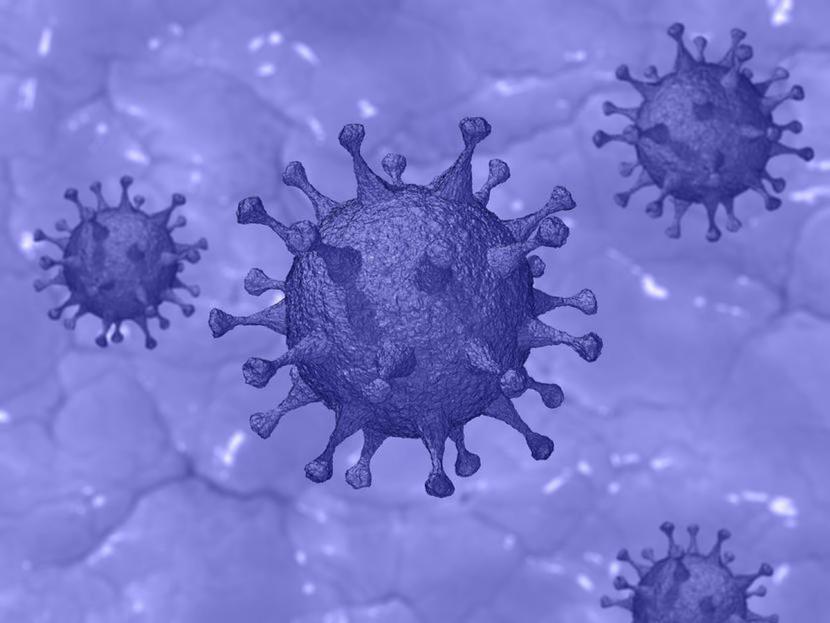 Wirusologia molekularna jest dziedziną, która rozwija się na Wydziale Biotechnologii Uniwersytetu Gdańskiego i Gdańskiego Uniwersytetu Medycznego od początku jego powstania, czyli już 30 lat. Wirusologia molekularna jest dziedziną, która rozwija się na Wydziale Biotechnologii Uniwersytetu Gdańskiego i Gdańskiego Uniwersytetu Medycznego od początku jego powstania, czyli już 30 lat.