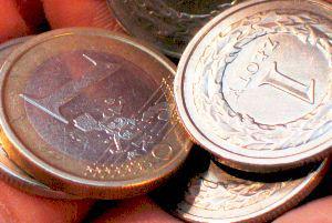 Złoty, euro; fot. Grzegorz Kawecki