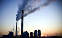 EY: 18 proc. polskich firm nie zamierza ograniczać swojego śladu węglowego