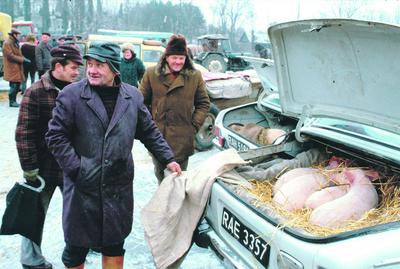 Kartki na mięso wprowadzono w PRL 28 lutego 1981 r., a reglamentacja tego towaru trwała 8 lat. Średni czas oczekiwania w kolejkach wynosił 6-8 godzin, dlatego kwitła szara strefa, która osiągała wielkość nawet połowy oficjalnego obrotu.