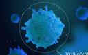 WHO wzywa do zaostrzenia kontroli w związku z nowym wariantem koronawirusa