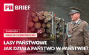 Potęga Lasów Państwowych, pułapka dotacji i mit deregulacji. PB BRIEF