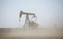 Wzrost napięcia na Bliskim Wschodzie umacnia notowania ropy
