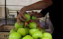 Polscy producenci jabłek zrujnowali katalońskich spółdzielców