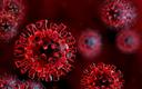 Naukowcy: Indyjski wariant koronawirusa może być o 50 proc. bardziej zakaźny niż brytyjski